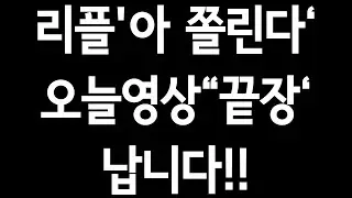 '떨려요'리플투자자 꼭 보세요.파월'비트코인NO'.