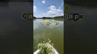 Лето в Сафари-Парке