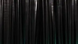silver curtains