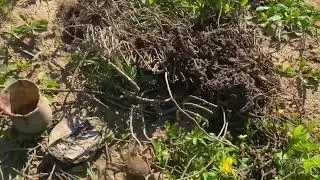 Осваиваем участок Мусор в земле