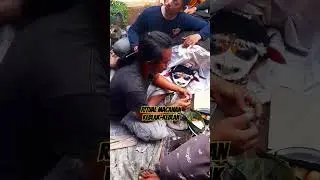 Ritual Macanan/keblak-keblak#shorts