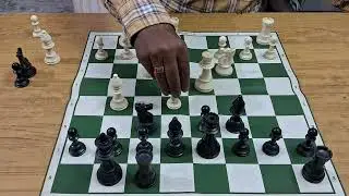 A.Alekine Vs Palau Chess game in Tamil/ Chess game for Beginners😺