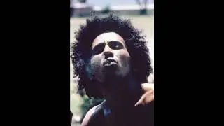 All Night Jammin', Reggae Rockers, 1982