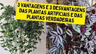 PLANTAS ARTIFICIAIS OU PLANTAS VERDADEIRAS, QUAL ESCOLHER?