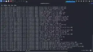 Who to update and upgrade kali linux in 2024