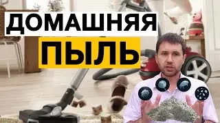 Домашняя пыль. Откуда берется ПЫЛЬ в квартире.