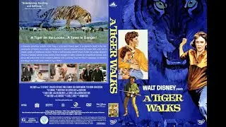 Movie (1964)