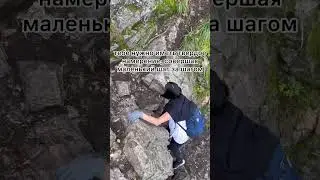 25 августа 2024 г.