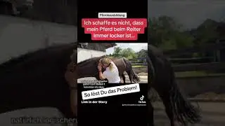 Wie kriege ich mein Pferd wirklich richtig locker? | wenn es beim reiten nicht so richtig klappt…