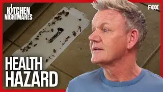 How Many Health Code Violations Can Gordon Find? | Kitchen Nightmares