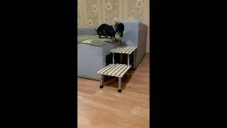 Пандус для собачки (из мебельной трубы и разделочных досок)