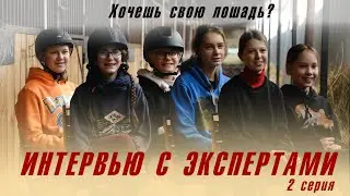 Интервью с экспертами в конном спорте. 2 Серия