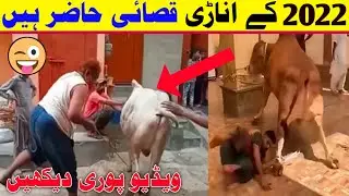 Funny Anari Qasai | Funny Qasai 2022 |D.A Trend