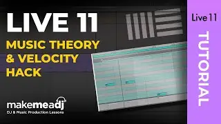 Ableton 11 - Music Theory & Velocity Hack