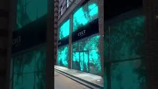 3d animation|blender animation|anime 3d|adobe mixamo