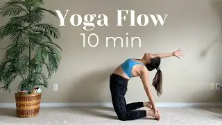 10 MIN Beginner Yoga Flow