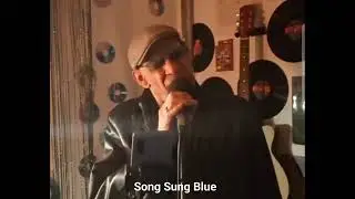 Cover of: Song Sung Blue 