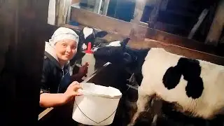 ПЕРЕВЕСТИ ТЕЛЕНКА С БУТЫЛОЧКИ НА ВЕДРО-ПРОСТО!//МИШКА ТЕПЕРЬ НЕ МАЛЫШ ☺️