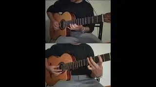 Milonga de mis amores-Guitarra Criolla