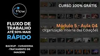 Organização Interna das Coleções no Lightroom / Módulo 05 Aula 04