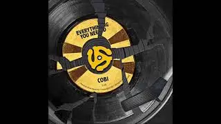 Cobi - Everything You Need [Official Audio]