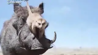 Прикол приуныл