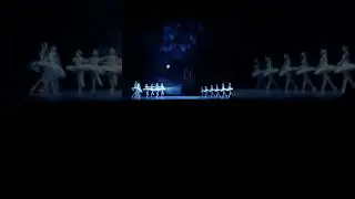 Балет Лебединое озеро Александринский театр Чайковский Swan lake Alexandrinskii theatre Tchaikovsky
