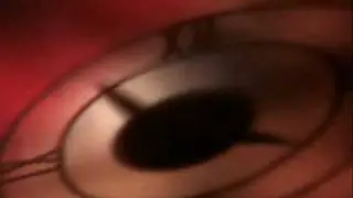 T&W