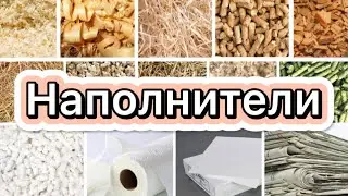 Наполнители для крыс - какой выбрать? 🐀