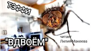 ТЭФФИ. 