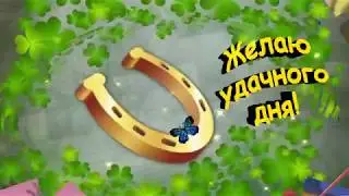 Желаю удачного дня!_ Видео открытка