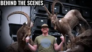 In-Depth Look at Erik's Full-Body Ibex Mount with Kanati Studios | Kyrgyzstan Bonus Episode