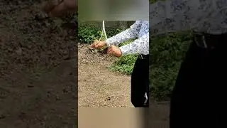 Borewell Water findings using Rods