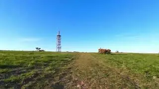 Butser Hill Run May 2025