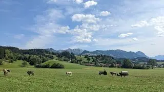 Grünten (Buchberger Hörnle, Siechenkopf, Hochwartspitze, Übelhorn), Erzgruben & Starzlachklamm