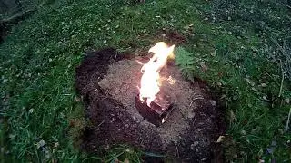 Чай в лесу