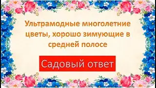 Ультрамодные многолетние цветы, хорошо зимующие в средней полосе