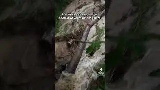 Pigeon Forge flash flood July 28, 2024 #flood #flashflood #pigeonforge