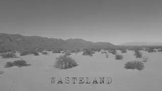 Christian Gibson - Wasteland feat.  Enik