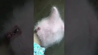 Шапочка kitty 🐱 из ангоры