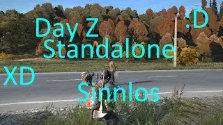 Day Z Standalone Sinnlos (HD)