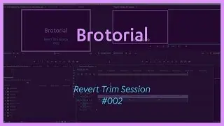 Revert Trim Session - Brotorial 