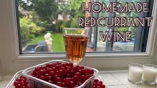 Making Redcurrant Wine at Home