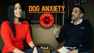 Dog Anxiety - Toronto Dogcast - A Podcast for Dog Lovers