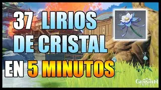 DONDE ENCONTRAR LIRIO DE CRISTAL - UBICACIÓN - RUTA FARMEO - LOCALIZACIÓN | GENSHIN IMPACT