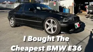 I Bought A BMW E36!