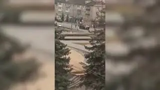 Пирятин Арта