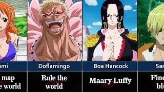 Dreams and Ambitions Of One Piece Characters