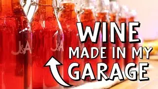 Made Wine From Scratch in My Garage - Here's What Happened