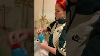 Неадекватная хозяйка
